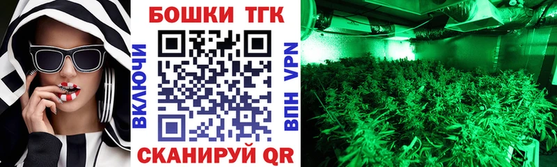 купить наркотики цена  Нестеровская  Бошки марихуана SATIVA & INDICA 